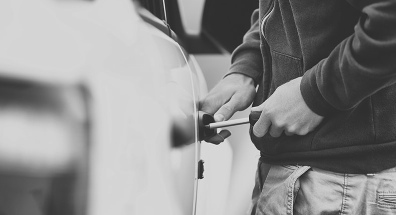 Theft Crime Defense Lawyer in Charleston and Columbia SC Theft Crime Defense Lawyer in Charleston and Columbia SC